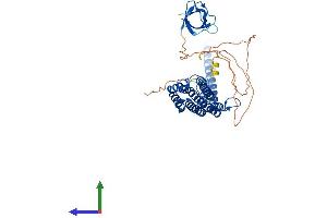 AlphaFold protein structure predicition of Human Recombinant PACSIN2 Protein, UniprotID Q9UNF0