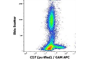 Flow cytometry surface staining pattern of human peripheral whole blood stained using anti-human CD7 (MEM-186) purified antibody (concentration in sample 0,33 μg/mL, GAM APC). (CD7 anticorps)
