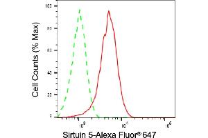Flow cytometric analysis of Sirtuin 5 expression in HepG2 cells using Sirtuin 5 antibody (ABIN7800355), 1:2,000).
