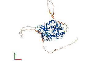 AlphaFold protein structure predicition of Human Recombinant CGAS Protein, UniprotID Q8N884