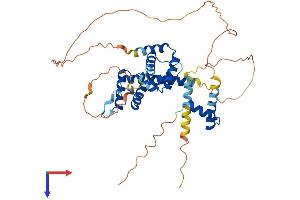 AlphaFold protein structure predicition of Human Recombinant HMBOX1 Protein, UniprotID Q6NT76