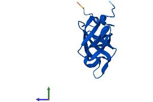 AlphaFold protein structure predicition of Human Recombinant RPL35A Protein, UniprotID P18077