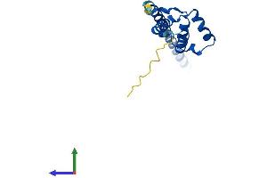 AlphaFold protein structure predicition of Human Recombinant LDOC1 Protein, UniprotID O95751