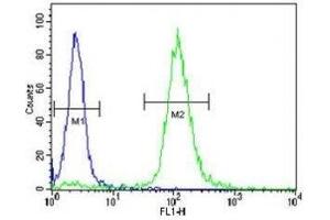 TrkA antibody flow cytometric analysis of WiDr cells (green) compared to a negative control (blue). (TRKA anticorps)