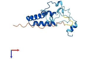 AlphaFold protein structure predicition of Human Recombinant POMP Protein, UniprotID Q9Y244