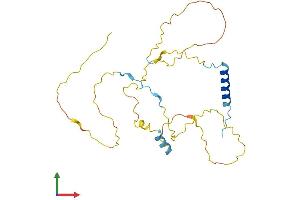 AlphaFold protein structure predicition of Mouse Recombinant Cdca5 Protein, UniprotID Q9CPY3