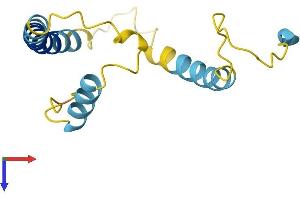 AlphaFold protein structure predicition of Human Recombinant KCNE1 Protein, UniprotID P15382