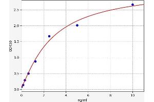 Typical standard curve (CYP7B1 Kit ELISA)