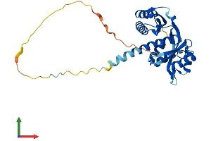 AlphaFold protein structure predicition of Human Recombinant TACO1 Protein, UniprotID Q9BSH4