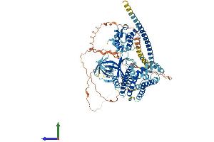 AlphaFold protein structure predicition of Mouse Recombinant Arhgef6 Protein, UniprotID Q8K4I3