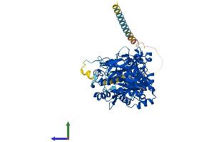 AlphaFold protein structure predicition of Human Recombinant GALNT9 Protein, UniprotID Q9HCQ5