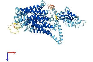 AlphaFold protein structure predicition of Mouse Recombinant Clcn4 Protein, UniprotID Q61418