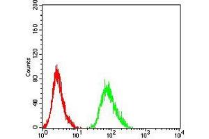anti-Adrenergic, beta-2-, Receptor, Surface (ADRB2) (AA 302-413) antibody