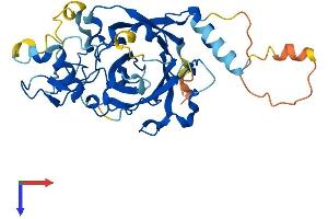 AlphaFold protein structure predicition of Mouse Recombinant Pdcd2 Protein, UniprotID P46718