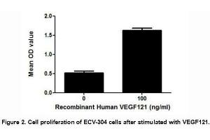 VEGFA (Vascular endothelial growth factor A) is a growth factor and can be cleaved into several isoforms, including VEGF121.
