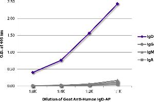 ELISA plate was coated with purified human IgD, IgG, IgM, and IgA. (Chèvre anti-Humain IgD (Heavy Chain) Anticorps (Alkaline Phosphatase (AP)))