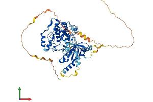 AlphaFold protein structure predicition of Mouse Recombinant Stk32c Protein, UniprotID Q8QZV4