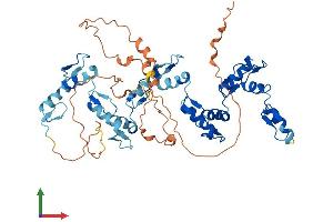 AlphaFold protein structure predicition of Human Recombinant ZNF79 Protein, UniprotID Q15937