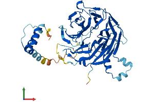 AlphaFold protein structure predicition of Human Recombinant CSTF1 Protein, UniprotID Q05048