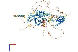 AlphaFold protein structure predicition of Human Recombinant SNX19 Protein, UniprotID Q92543