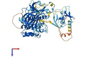 AlphaFold protein structure predicition of Mouse Recombinant Prkcd Protein, UniprotID P28867