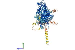 AlphaFold protein structure predicition of Human Recombinant SLFN12L Protein, UniprotID Q6IEE8