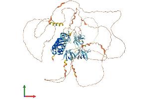 AlphaFold protein structure predicition of Human Recombinant SH3PXD2B Protein, UniprotID A1X283