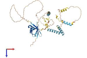 AlphaFold protein structure predicition of Mouse Recombinant Herpud2 Protein, UniprotID Q9JJC9