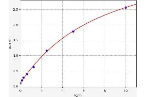 Typical standard curve (FECH Kit ELISA)