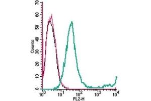 Cell surface detection of GPR65 in live intact mouse EL4 T-cell lymphoma cells: (black line) Cells.