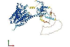 AlphaFold protein structure predicition of Mouse Recombinant Slc26a9 Protein, UniprotID Q8BU91