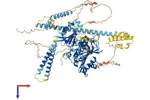 AlphaFold protein structure predicition of Mouse Recombinant Morc1 Protein, UniprotID Q9WVL5