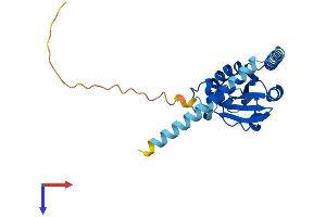 AlphaFold protein structure predicition of Human Recombinant TXNDC9 Protein, UniprotID O14530