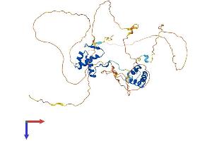AlphaFold protein structure predicition of Mouse Recombinant Pax8 Protein, UniprotID Q00288