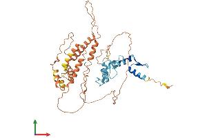 AlphaFold protein structure predicition of Human Recombinant ZSCAN4 Protein, UniprotID Q8NAM6