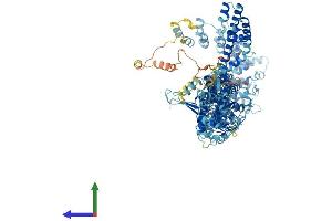 AlphaFold protein structure predicition of Human Recombinant TRPA1 Protein, UniprotID O75762