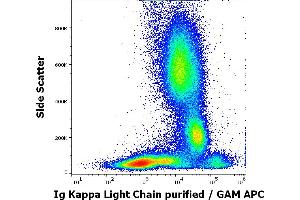 Flow cytometry surface staining pattern of human peripheral whole blood stained using anti-human Ig Kappa Light Chain (MEM-09) purified antibody (concentration in sample 3 μg/mL) GAM APC. (kappa Light Chain anticorps)