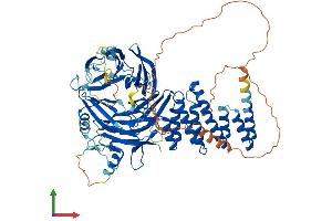 AlphaFold protein structure predicition of Mouse Recombinant Wdpcp Protein, UniprotID Q8C456