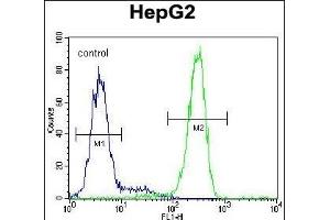 LRC40 Antibody (C-term) (ABIN654977 and ABIN2844617) flow cytometric analysis of HepG2 cells (right histogram) compared to a negative control cell (left histogram). (LRRC40 anticorps  (C-Term))