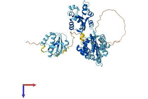 AlphaFold protein structure predicition of Human Recombinant NME8 Protein, UniprotID Q8N427