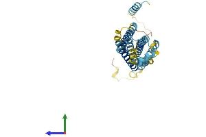 AlphaFold protein structure predicition of Human Recombinant STX19 Protein, UniprotID Q8N4C7