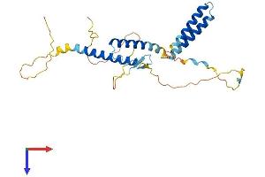 AlphaFold protein structure predicition of Human Recombinant HES1 Protein, UniprotID Q14469
