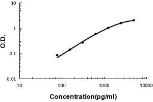 Sandwich ELISA - Recombinant mouse IL23 Receptor/Il23r protein standard curve. (IL23R anticorps  (AA 25-233))