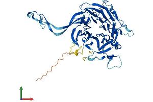 AlphaFold protein structure predicition of Human Recombinant PPP2R2B Protein, UniprotID Q00005