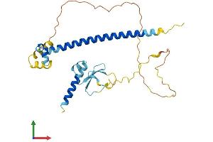 AlphaFold protein structure predicition of Human Recombinant CDCA8 Protein, UniprotID Q53HL2