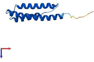 AlphaFold protein structure predicition of Mouse Recombinant Ahsp Protein, UniprotID Q9CY02