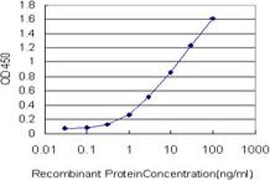 Detection limit for recombinant GST tagged PCMT1 is approximately 0.
