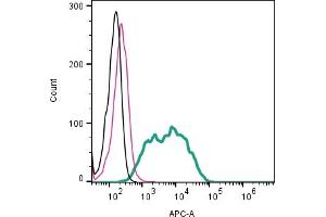 Cell surface detection of NMDAR1 by indirect flow cytometry in live intact human  megakaryoblastic leukemia cells: + goat-anti-rabbit-APC. (GRIN1/NMDAR1 anticorps  (Extracellular))