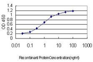 Detection limit for recombinant GST tagged RNF12 is approximately 0. (RLIM anticorps  (AA 1-83))