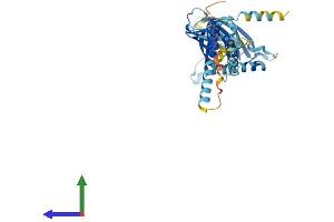 AlphaFold protein structure predicition of Mouse Recombinant Ergic2 Protein, UniprotID Q9CR89
